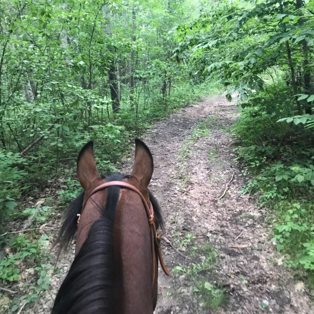 Meet your Posher, Annie